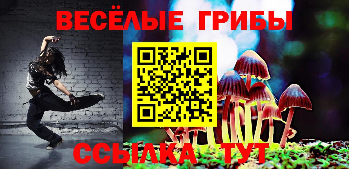 Галлюциногенные грибы MAGIC MUSHROOMS Щёлково