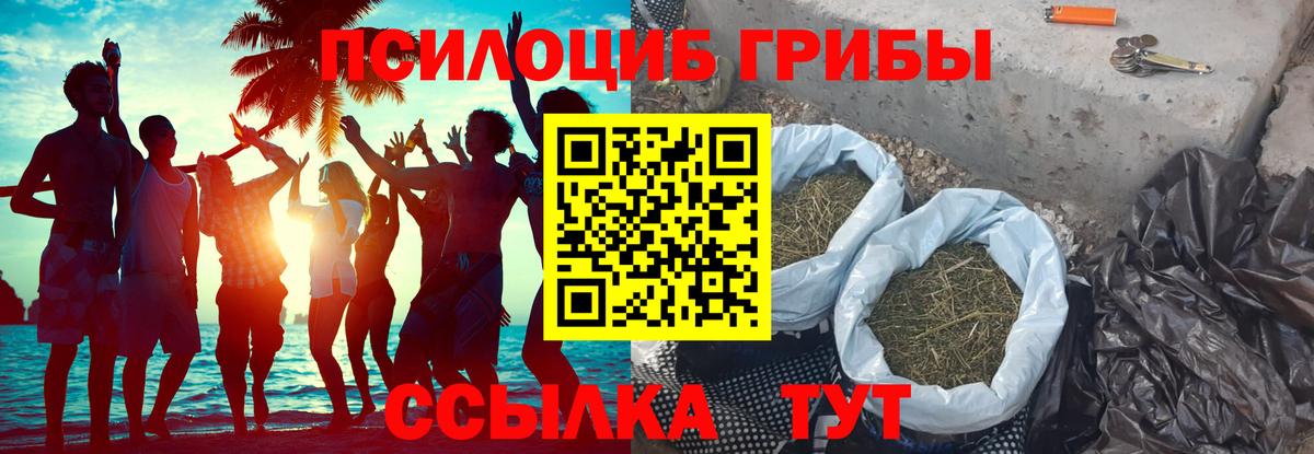 Псилоцибиновые грибы GOLDEN TEACHER  Вход с VPN  Щёлково 